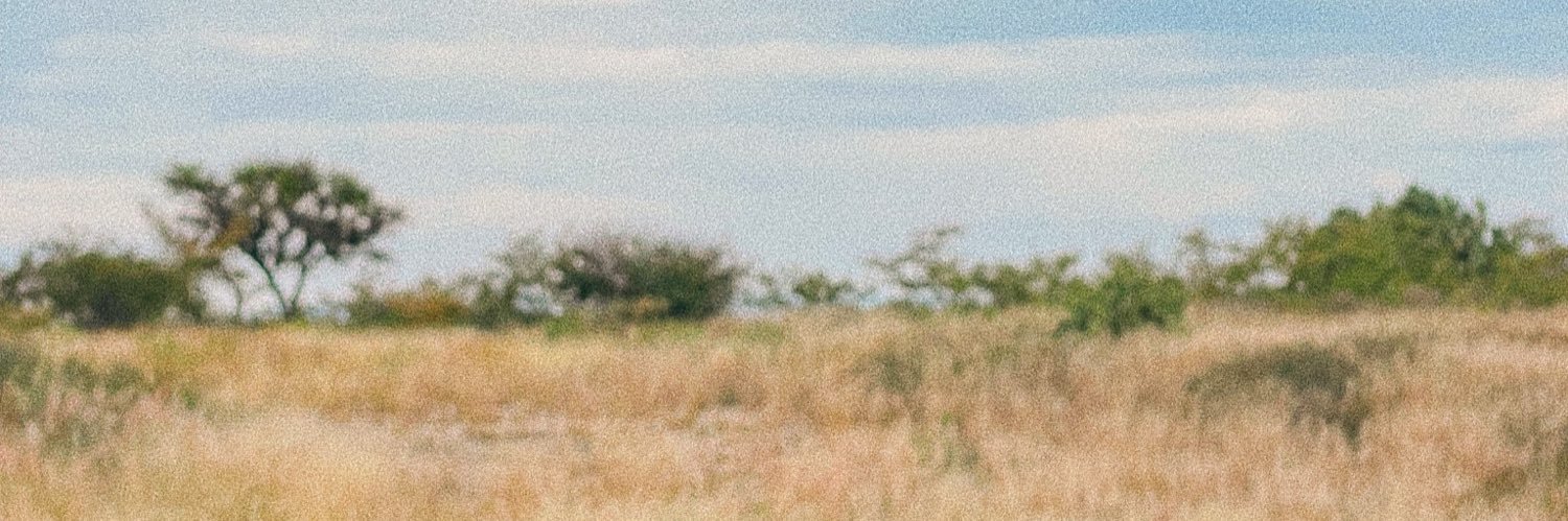 jeshuaroca's profile banner image