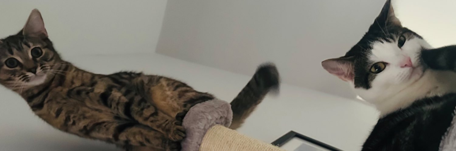 BethEBowen's profile banner image