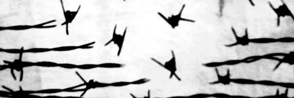 ZikU Envidia banner