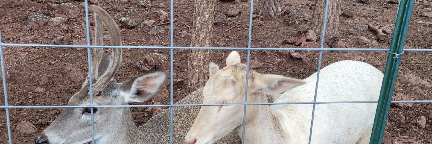 Jonathan Starrett banner