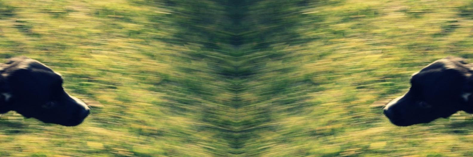 Antonio Padula 🇪🇺🌍🌌 banner