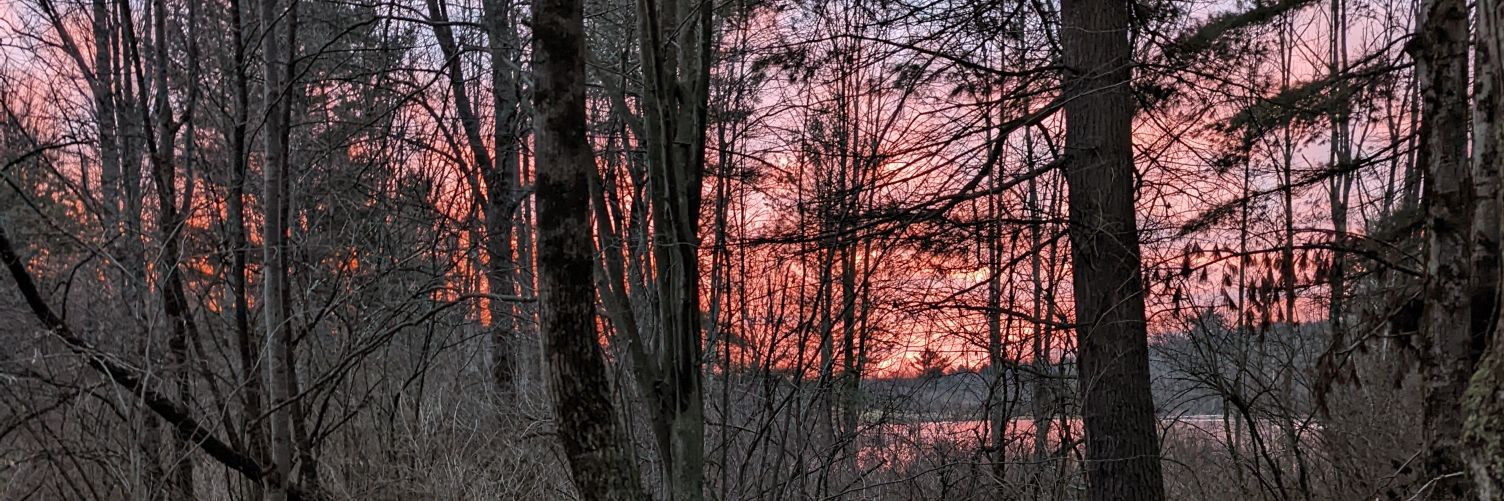 Dan Koz banner