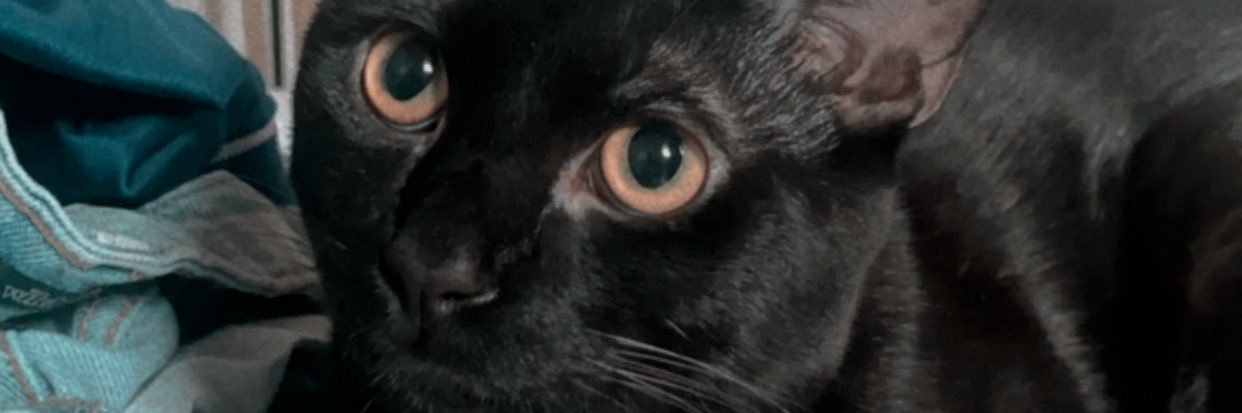 dessxdes's profile banner image