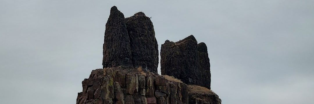 model citizen banner