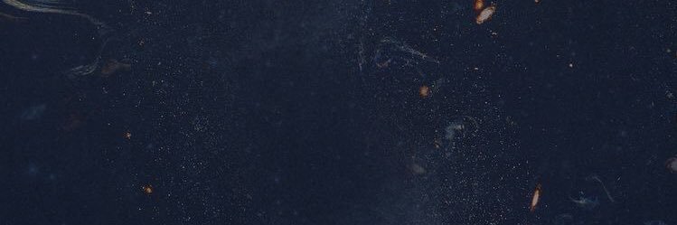 KathCeci's profile banner image