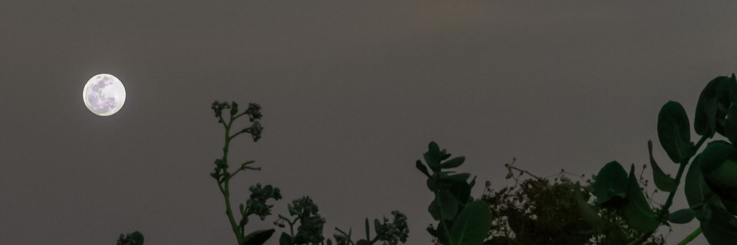 10dbf9a4dacf41e's profile banner image