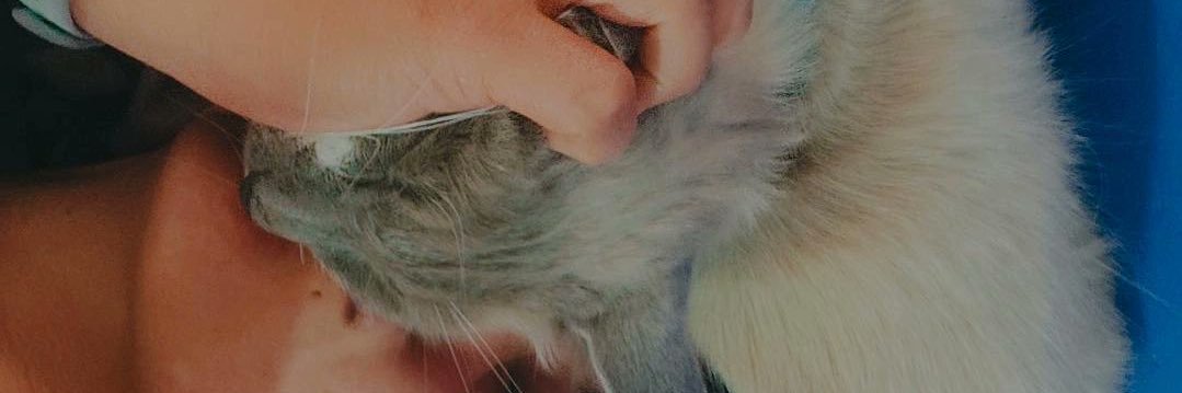 abbiibritos's profile banner image