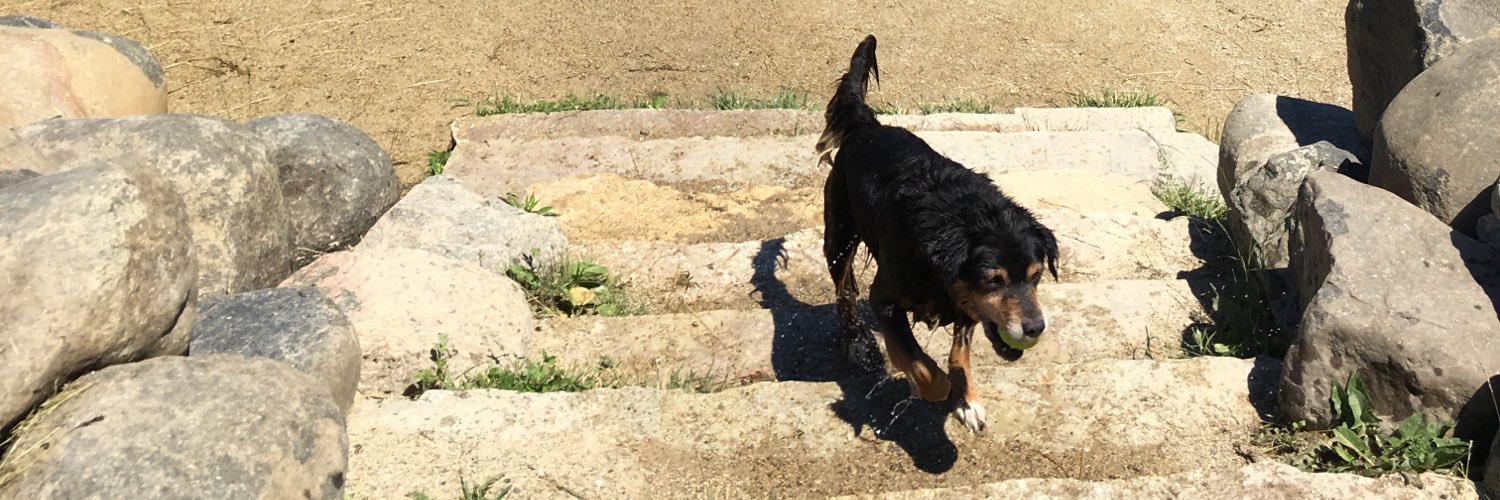 Sherry Jo Baehr banner