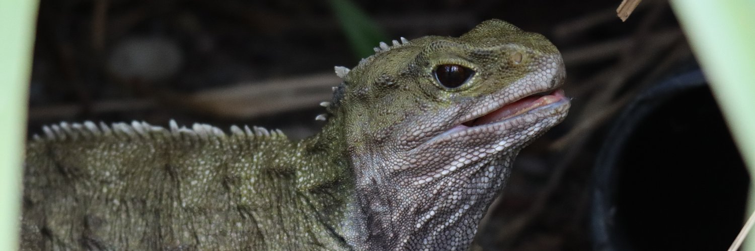 Central Energy Trust Wildbase Recovery banner