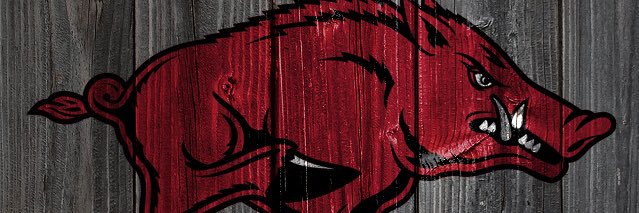 dlasbill's profile banner image