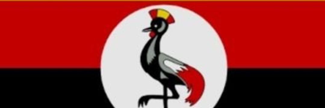 arinaitweeliass's profile banner image