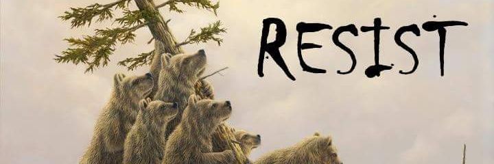 BigSteveS77's profile banner image