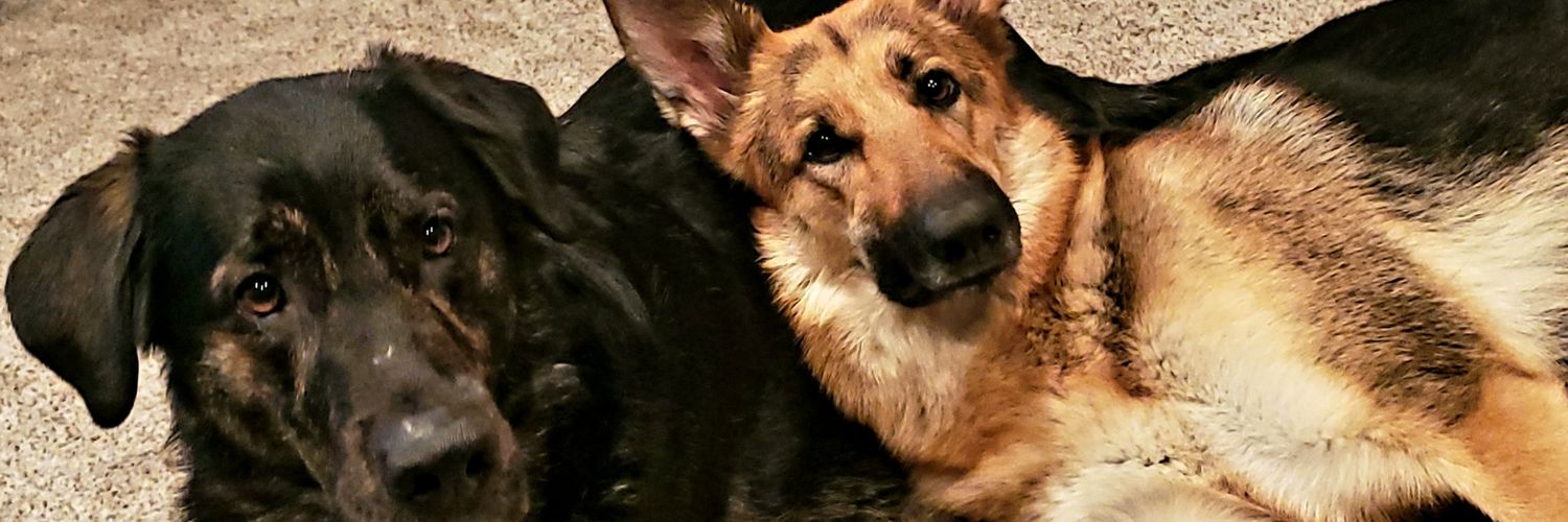 CPDoyle16's profile banner image