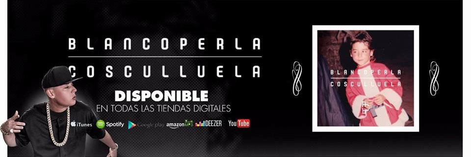Cosculluela banner
