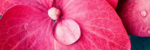 CaromPonce's profile banner image