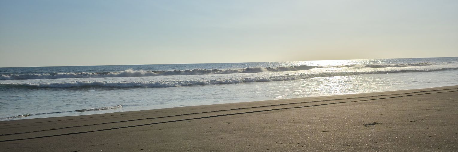 iris_calderon29's profile banner image