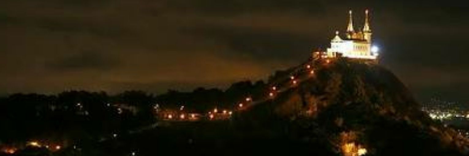 BAILE DA SELVA 82K⛪️🌳🐻🌲🐝 banner