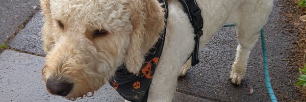 Trashfiregf Profile Banner