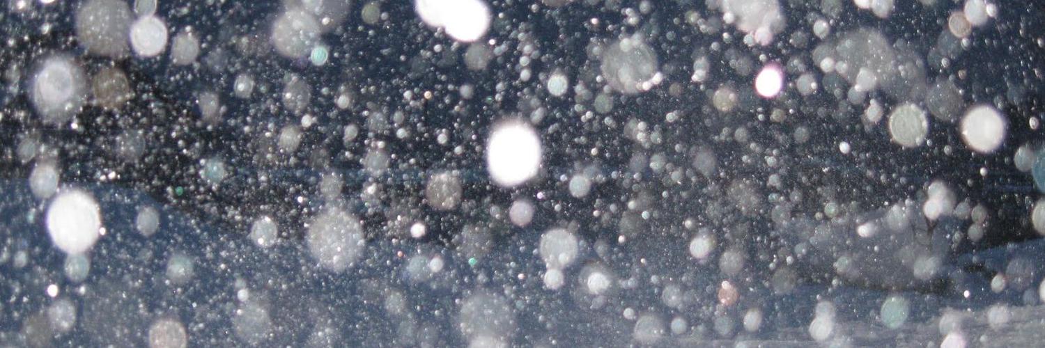 Anderson R R Santos banner