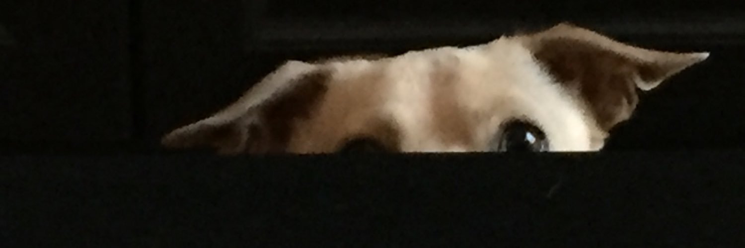 McMillmo's profile banner image