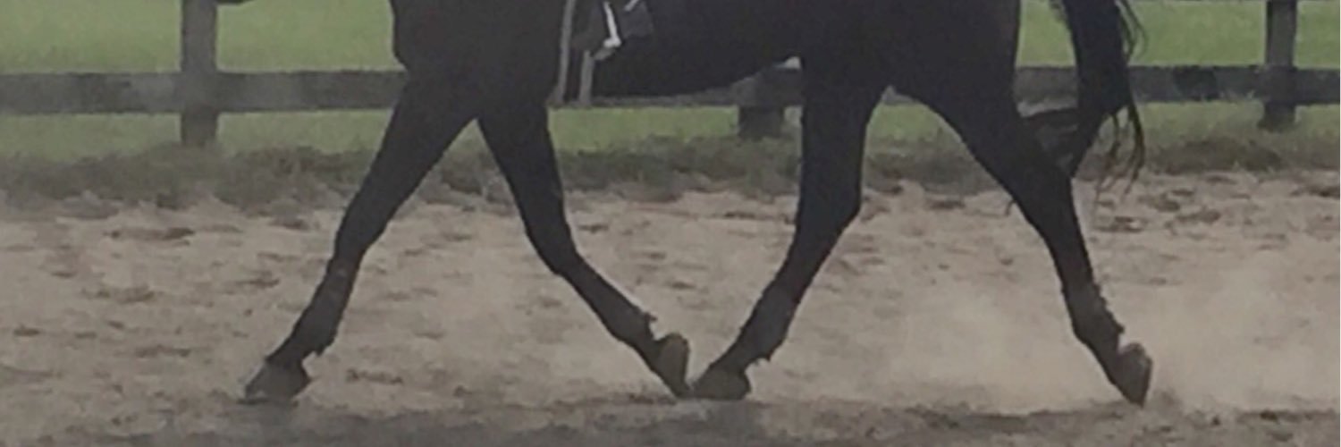 equinepro022's profile banner image