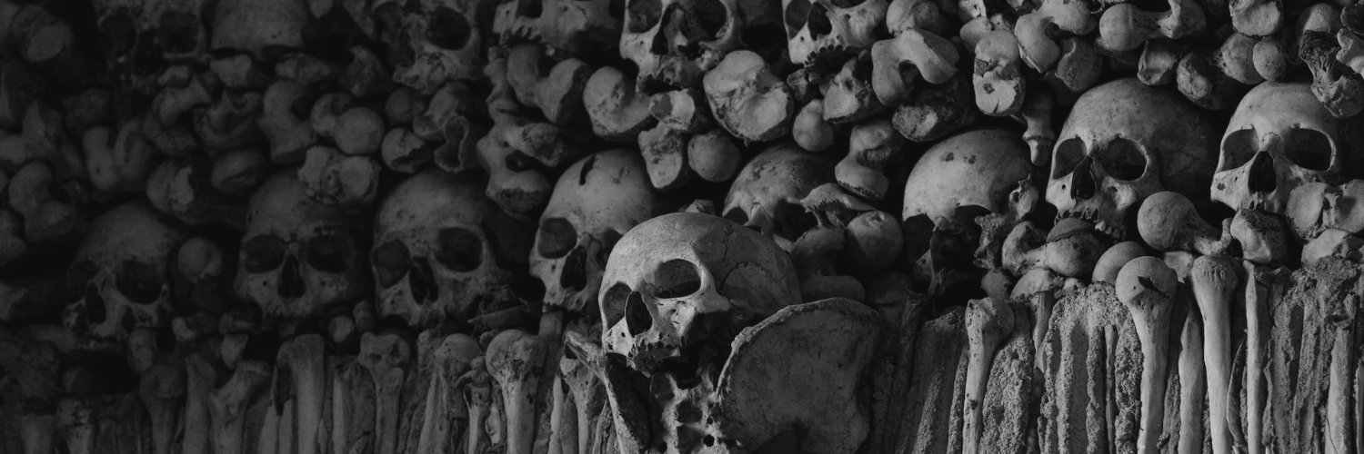 Burnout Skull🍉 banner