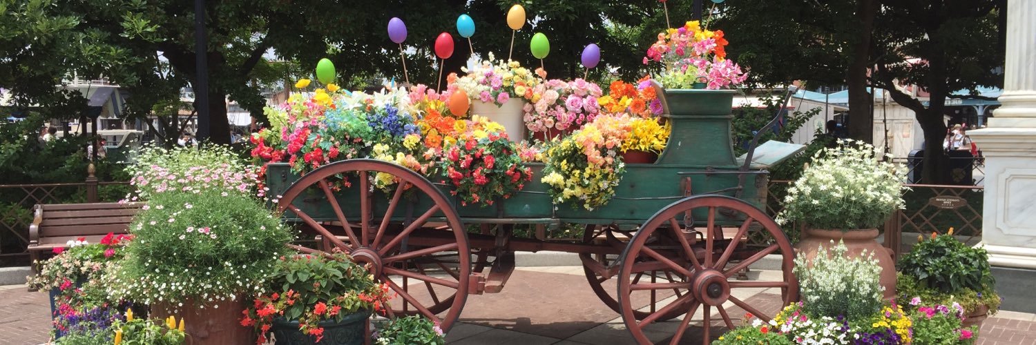 bnbnribbon's profile banner image