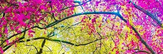 AleGFranco3's profile banner image
