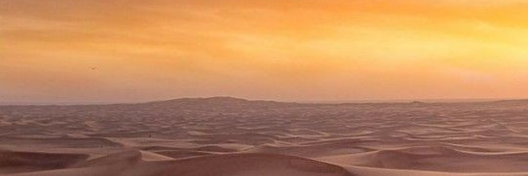 python_group's profile banner image
