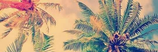 _KatyTejeda's profile banner image