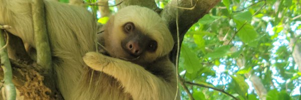 gbyraiders7 Profile Banner