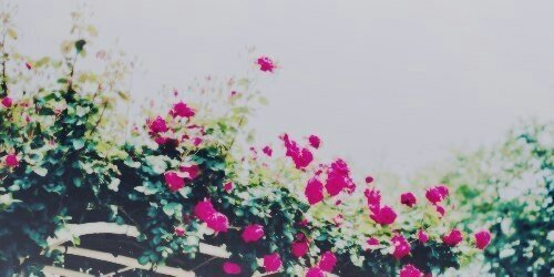 nialler_3's profile banner image
