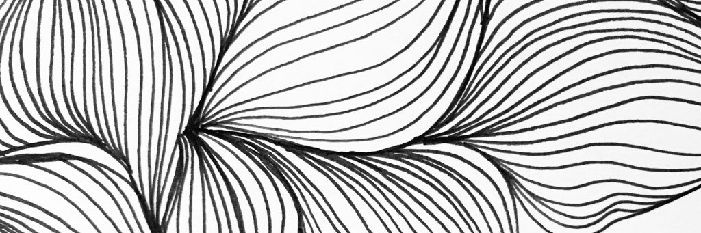 LittleBug1011's profile banner image