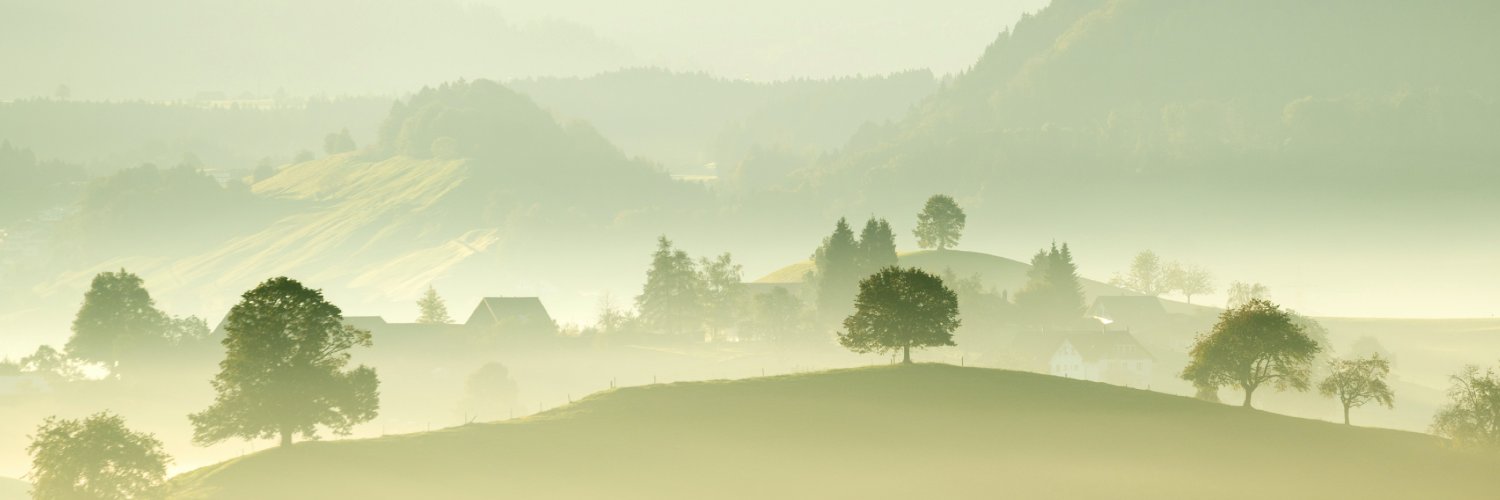 roybaladi's profile banner image