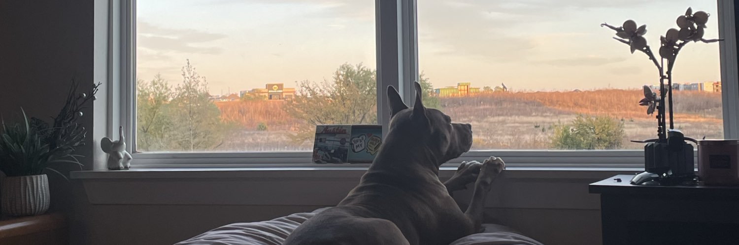 risskybxtch's profile banner image