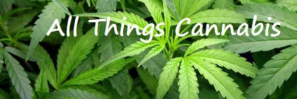 AllThingsCann's profile banner image