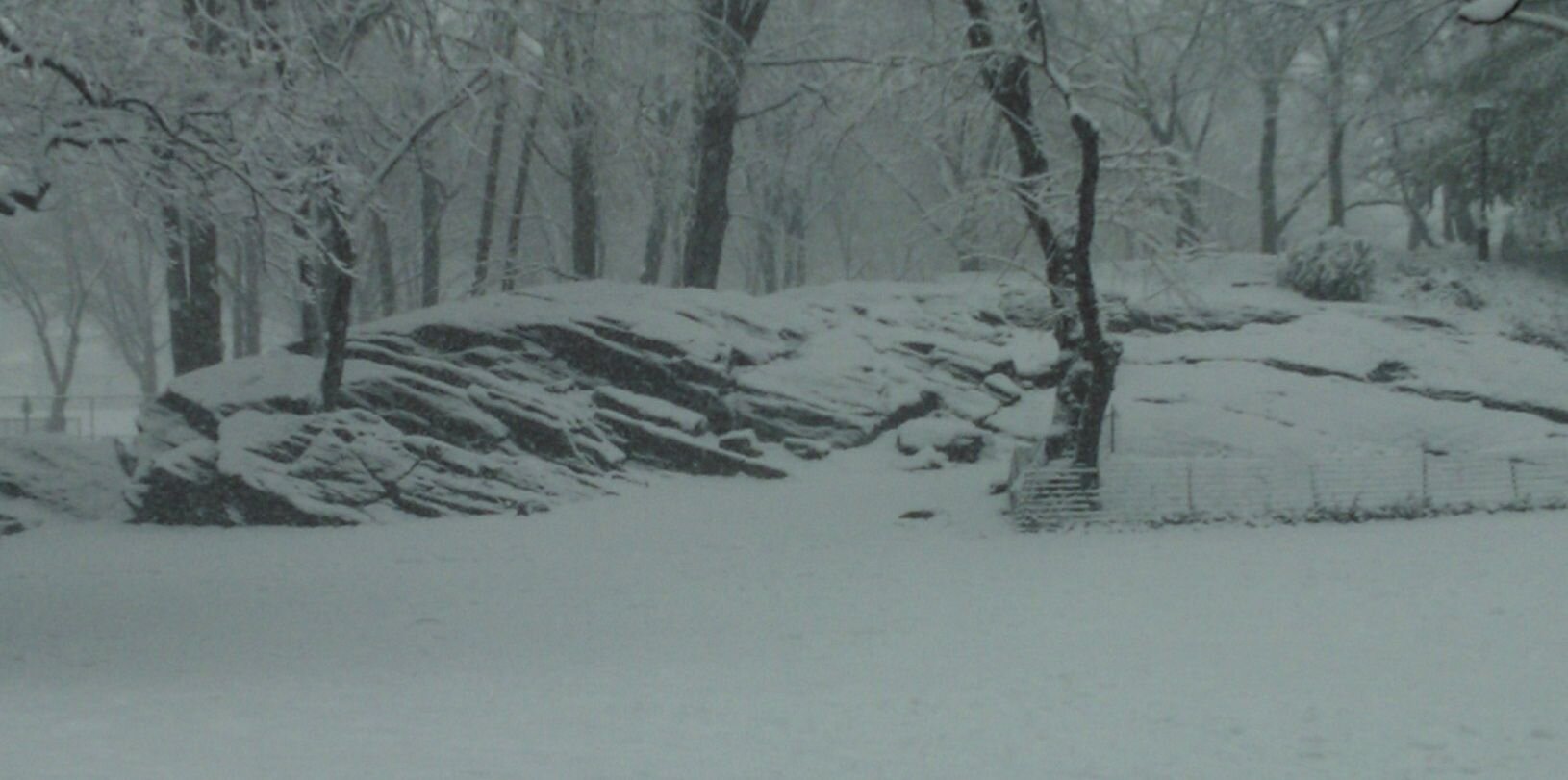 Rob2577 banner