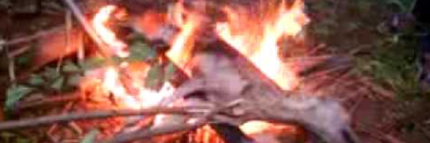 jokopale's profile banner image