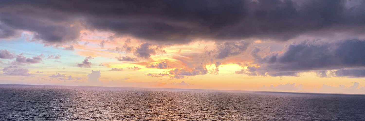 brodenstepp's profile banner image