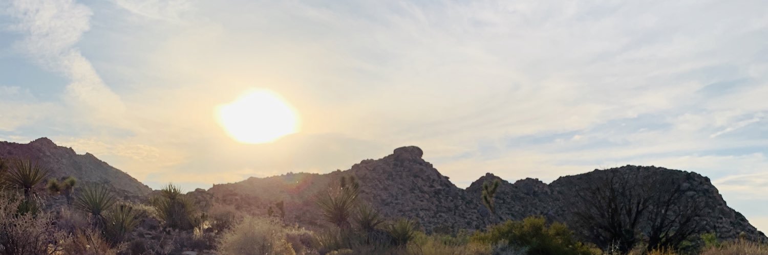 sunsetandvine13's profile banner image