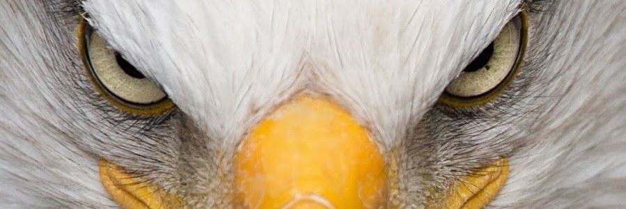 isacdesowsa's profile banner image