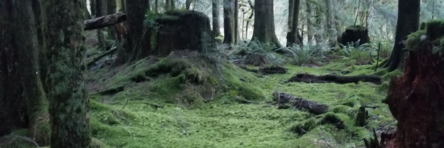 CoryCocktail's profile banner image