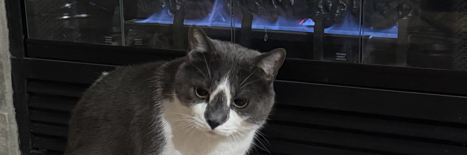 nikkicookeee's profile banner image