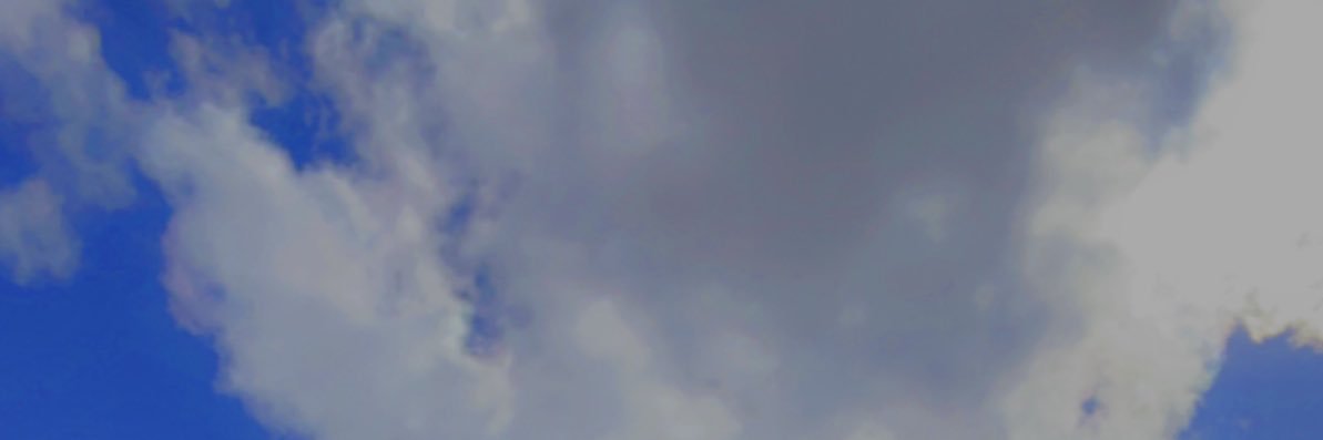 LexiNicWig's profile banner image