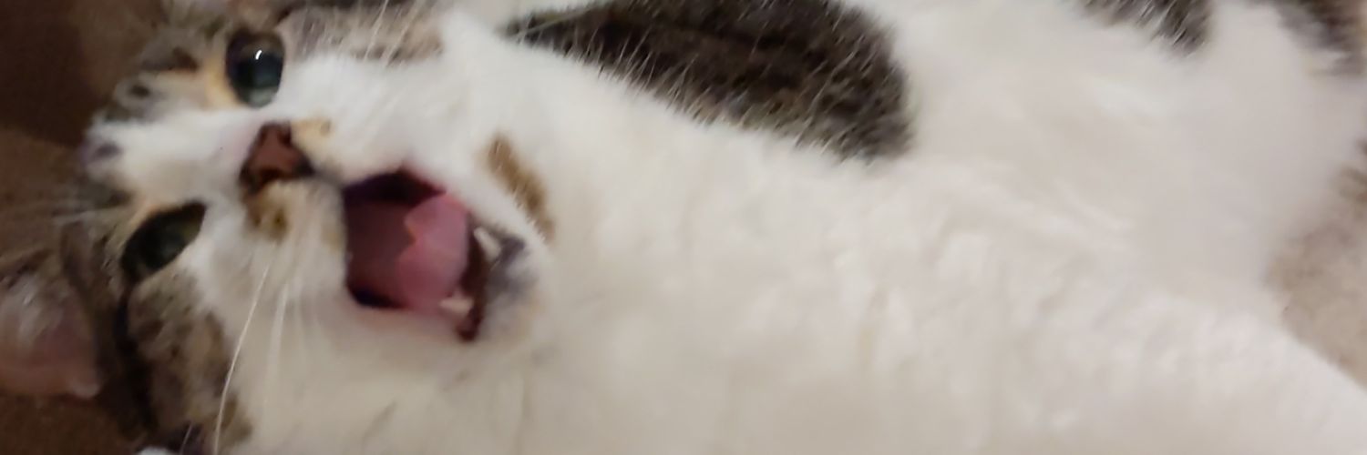 BethyPls's profile banner image