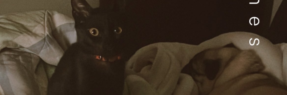 bduagui's profile banner image