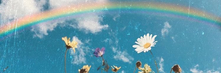 zaddyzoee's profile banner image