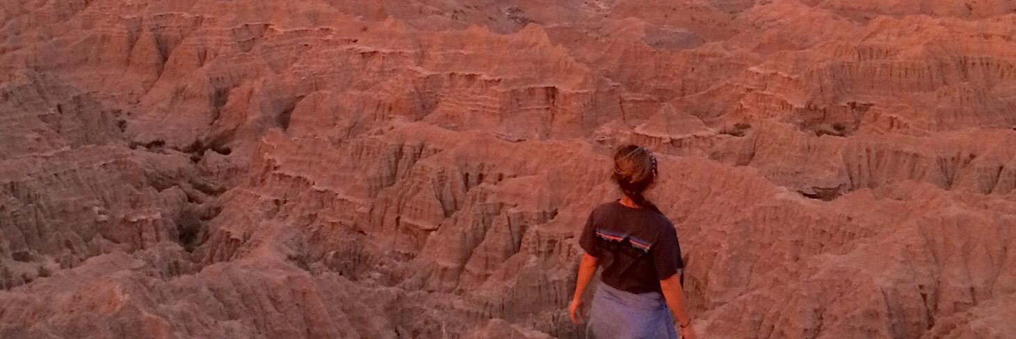 NicoleeAReed's profile banner image