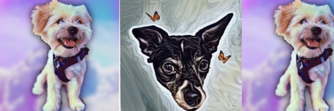 megalupee's profile banner image