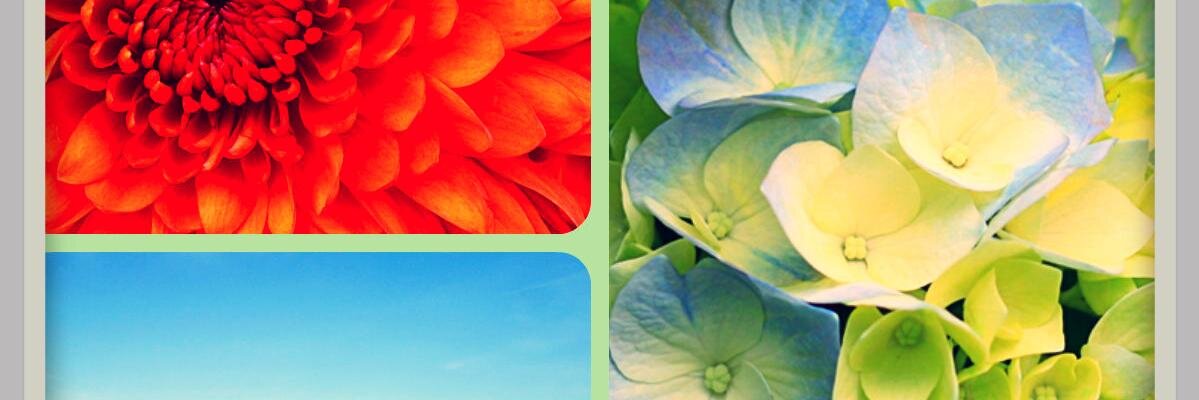 SGU_UST's profile banner image